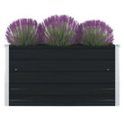 Gegalvaniseerd Staal Verhoogd Tuinbed voor Planten en Groenten - Antraciet / 1 - Bloempotten & plantenbakken