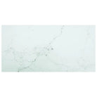 Gehard glazen tafelblad voor eettafels salontafels - Wit / 100 x 50 cm / 1 - Tafelbladen