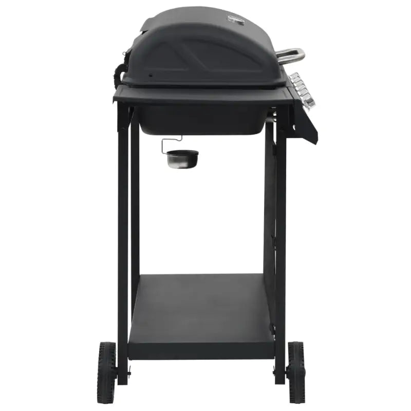 Grote gasbarbecue voor gezellige tuinfeesten - Barbecues