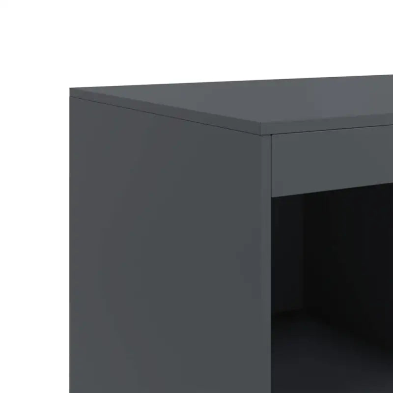 Hoge kast met koudgewalst staal voor een moderne uitstraling - Dressoirs & buffetkasten