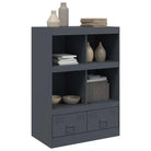 Hoge kast met koudgewalst staal voor een moderne uitstraling - Dressoirs & buffetkasten