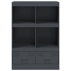 Hoge kast met koudgewalst staal voor een moderne uitstraling - Dressoirs & buffetkasten