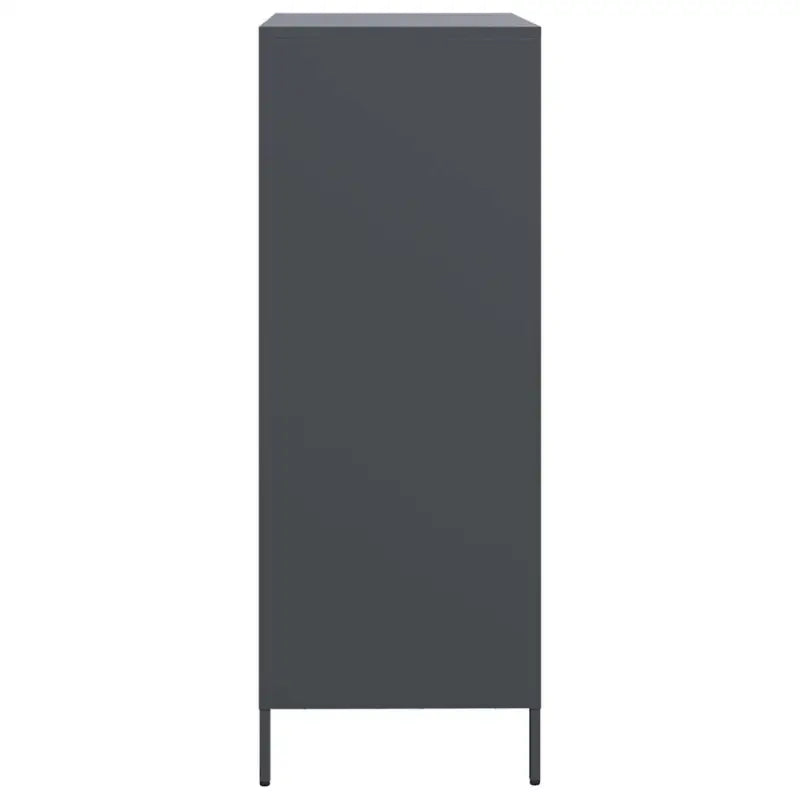 Hoge kast van koudgewalst staal voor decoratie en praktische opbergruimte - Dressoirs & buffetkasten
