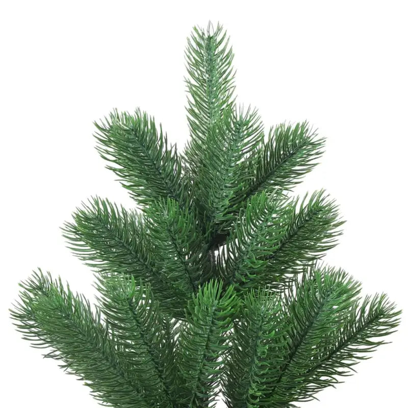 Hoogwaardige Nordmann kerstboom met symmetrische vorm - Kerstbomen