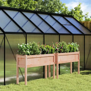 Houten bloempotten en plantenbakken van massief douglashout - Bloempotten & plantenbakken