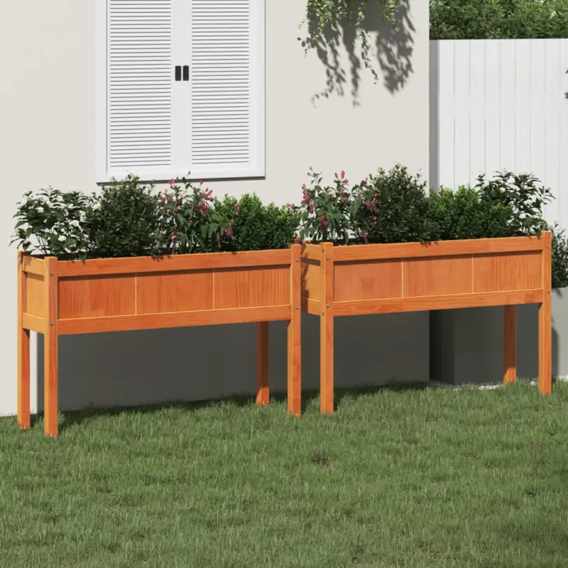 Houten bloempotten en plantenbakken van massief douglashout - Bruingrenen / 2 - Bloempotten & plantenbakken