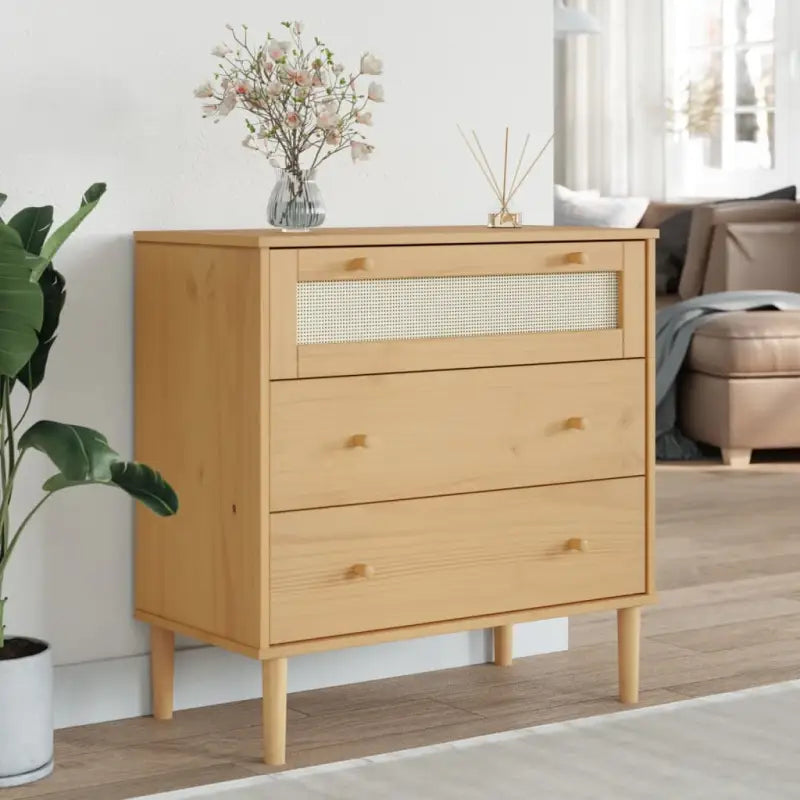 Houten ladekast van massief grenenhout voor een elegante interieurstijl - Bruin / 1 - Commodes & ladekasten