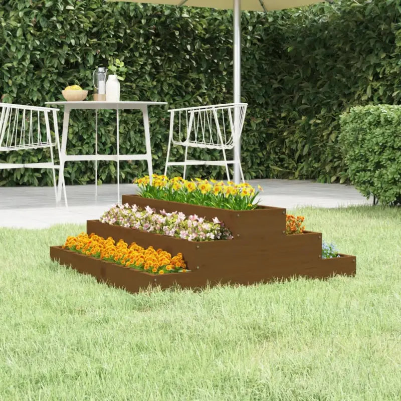Houten plantenbak met trapsgewijs ontwerp van massief grenenhout - Honingbruin grenenhout / 80 x 80 x 27 cm / 1