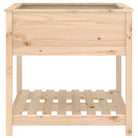 Houten plantenbak van massief grenenhout voor binnen en buiten - Bloempotten & plantenbakken