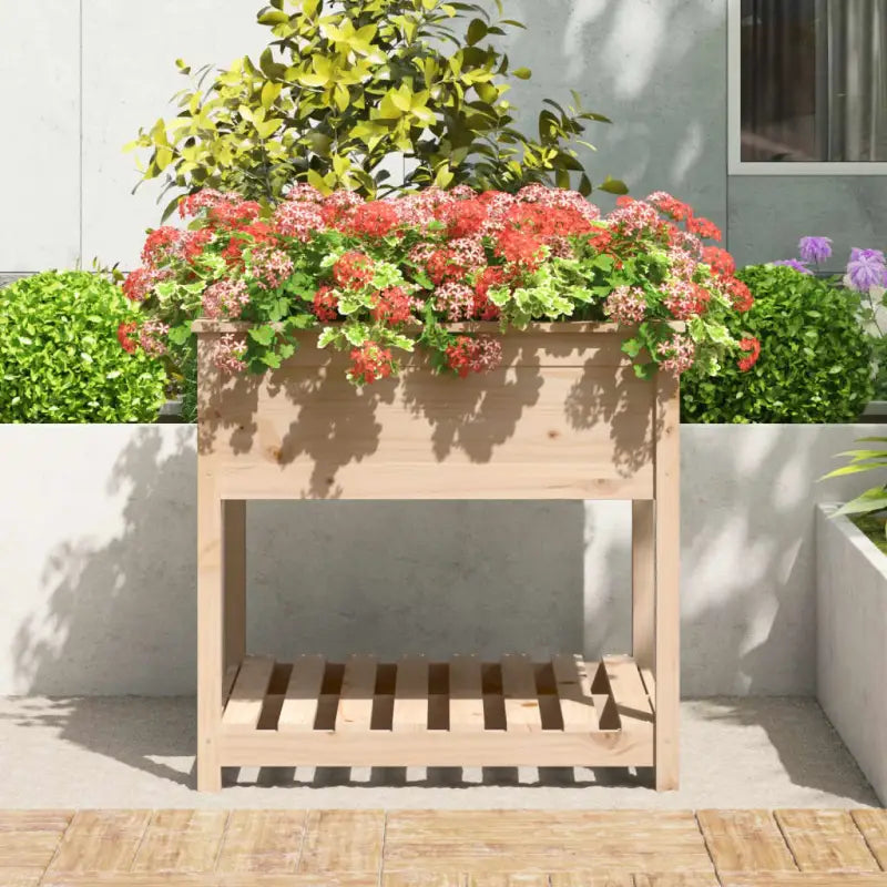 Houten plantenbak van massief grenenhout voor binnen en buiten - Bloempotten & plantenbakken