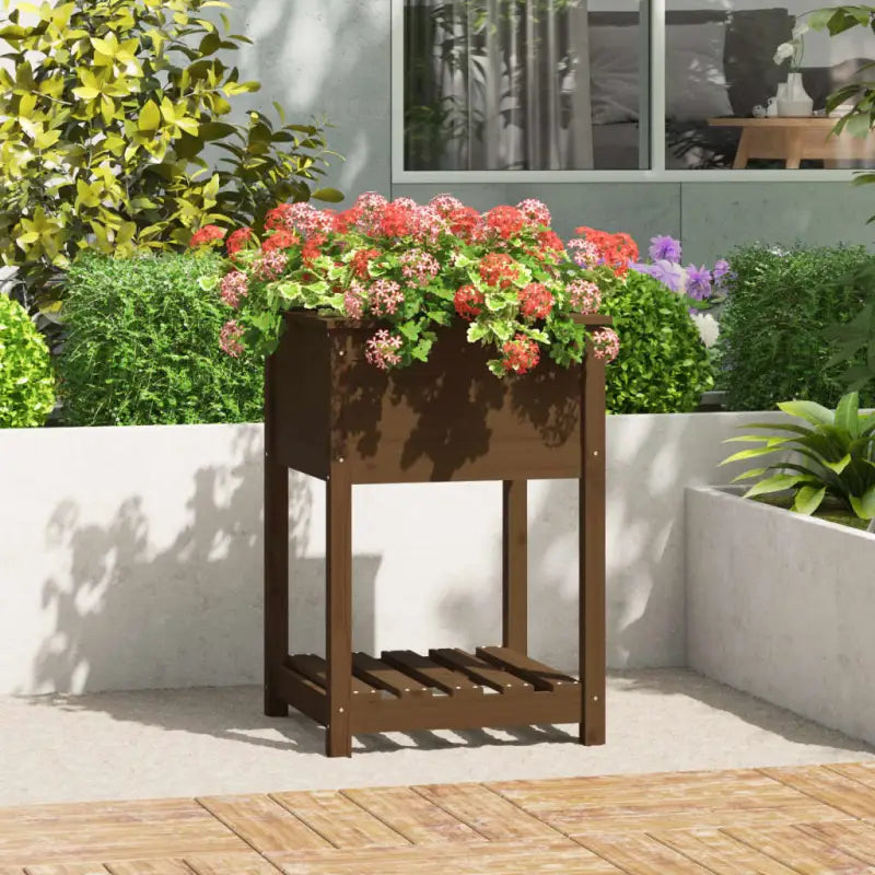 Houten plantenbak van massief grenenhout voor binnen en buiten - Honingbruin / 57 x 54 x 81 cm / 1 - Bloempotten &
