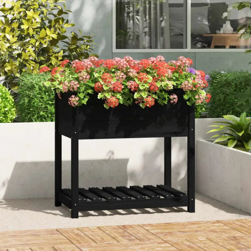 Houten plantenbak van massief grenenhout voor binnen en buiten - Zwart / 82.5 x 54 x 81 cm / 1 - Bloempotten &