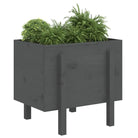 Houten plantenbak van massief grenenhout voor tuin en balkon - Bloempotten & plantenbakken