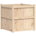 Houten plantenbak van massief grenenhout voor tuin en balkon - Bloempotten & plantenbakken