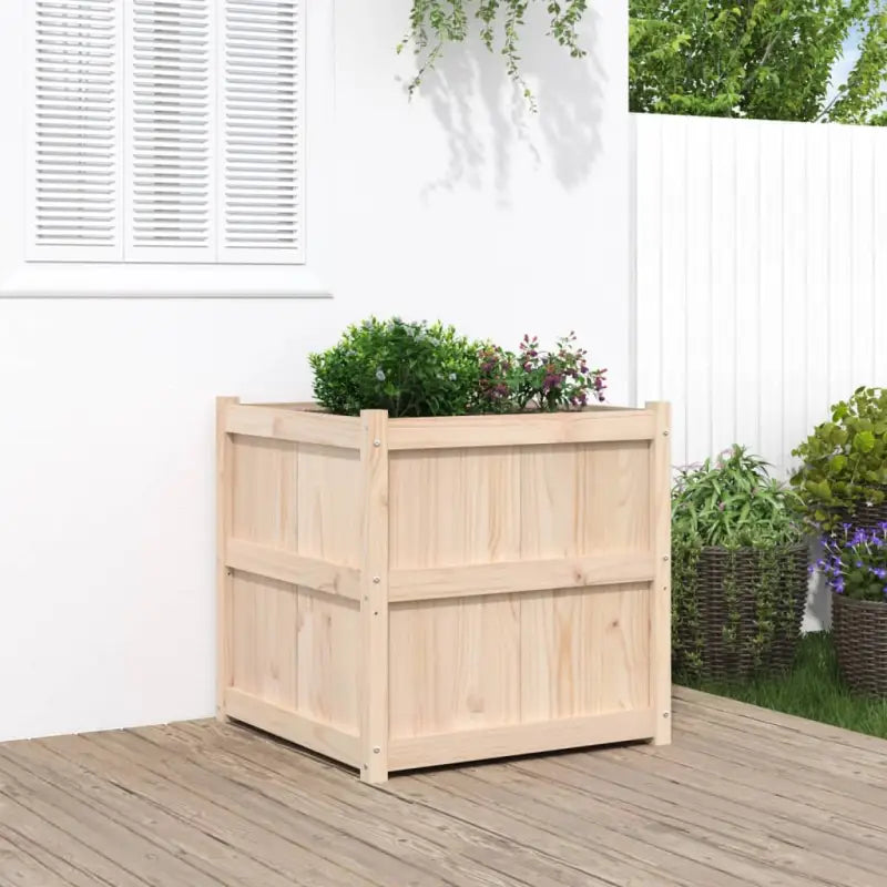 Houten plantenbak van massief grenenhout voor tuin en balkon - Natuurlijk grenenhout / 1 - Bloempotten & plantenbakken