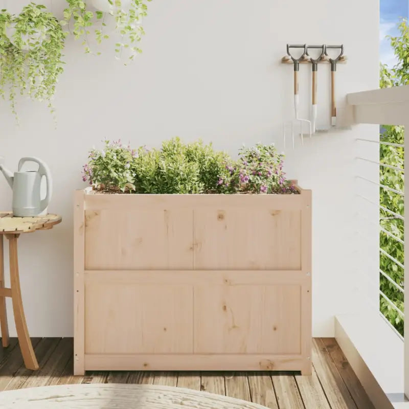 Houten plantenbak van massief grenenhout voor tuin en balkon - Bloempotten & plantenbakken
