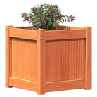 Houten plantenbak van massief grenenhout voor tuin en balkon - Bloempotten & plantenbakken