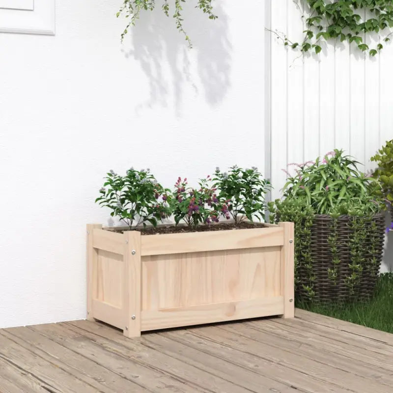 Houten plantenbakken van geïmpregneerd grenenhout voor tuin en balkon - Natuurlijk grenenhout / 1 - Bloempotten &