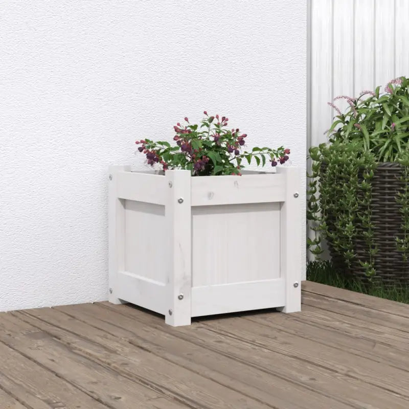 Houten plantenbakken van geïmpregneerd grenenhout voor tuin en balkon - Wit grenenhout / 1 - Bloempotten & plantenbakken