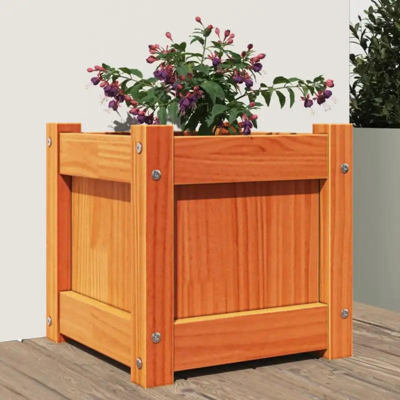 Houten plantenbakken van geïmpregneerd grenenhout voor tuin en balkon - Bruingrenen / 1 - Bloempotten & plantenbakken