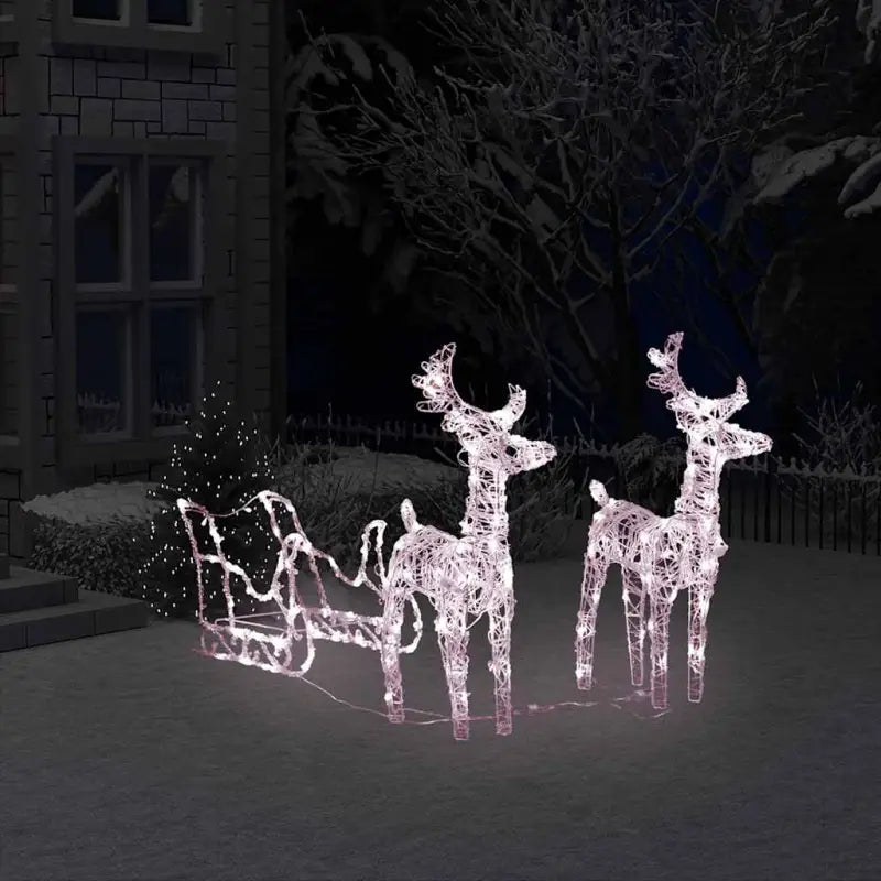 Kerstverlichting met twee rendieren en slee voor warme feestverlichting - Kerstverlichting