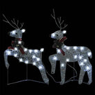 Kerstverlichting met verschillende lichteffecten voor binnen en buiten - Kerstverlichting