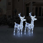 Kerstverlichting met verschillende lichteffecten voor je tuin decoratie - Koudwit / 2 / 1 - Kerstverlichting