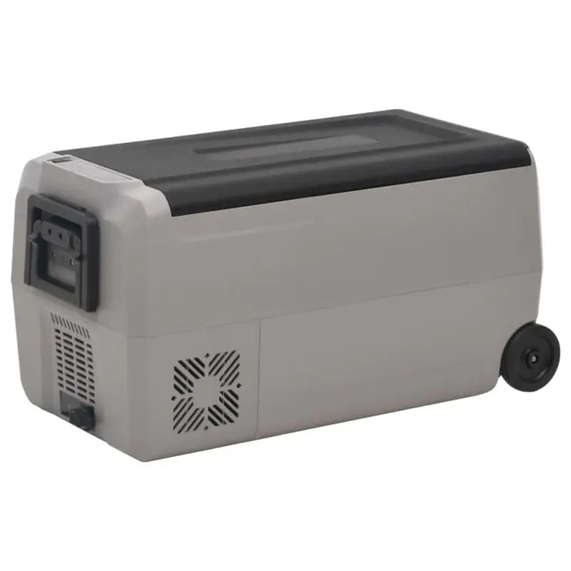 Koelers Grote koelbox met royale binnenafmetingen voor buitenactiviteiten - 60 l / zonder adapter - Koelers