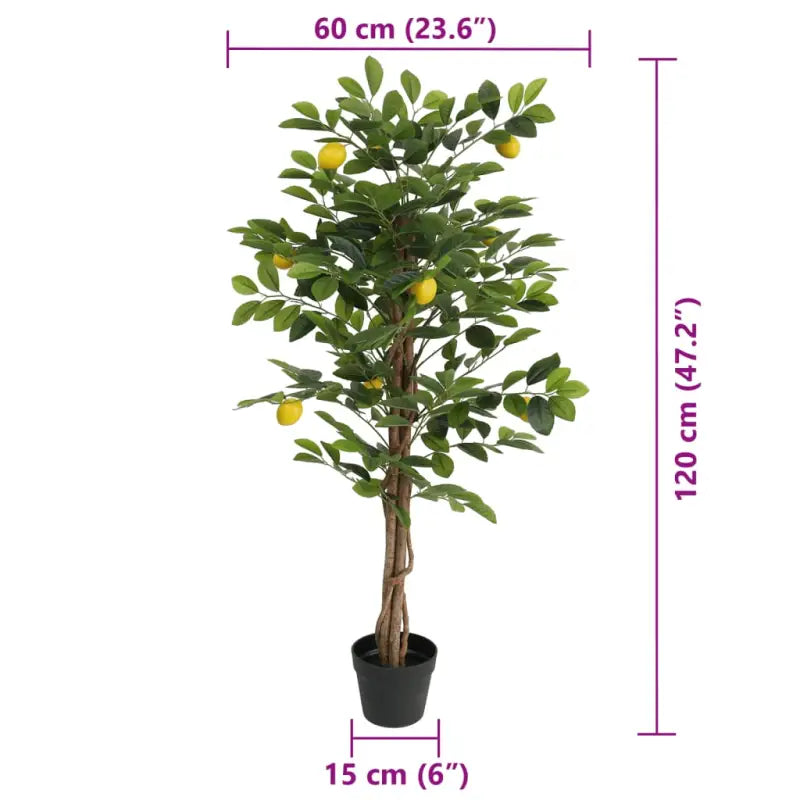 Kunst Citroenboom voor een levendige uitstraling in je kamer - Bomen