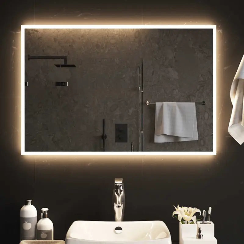 LED Badkamerspiegel met ip65-klasse voor waterdichte badkamerruimte - 90 x 60 cm / 1 - Spiegels