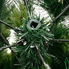 Levende kunstkerstboom met automatische takken voor een feestelijke sfeer - Kerstbomen