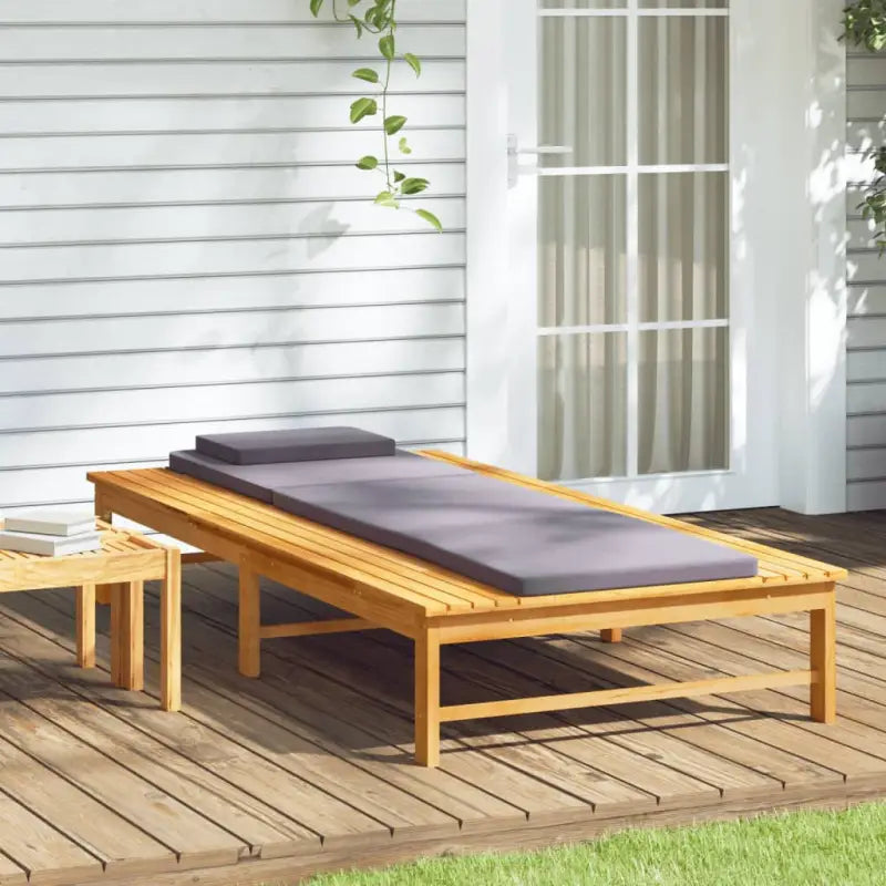 Ligstoel van massief acaciahout met verstelbare rugleuning - Ligstoelen