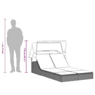 Ligstoel voor twee met poly rattan en uitschuifbare luifel voor comfortabele zitervaring - Ligstoelen