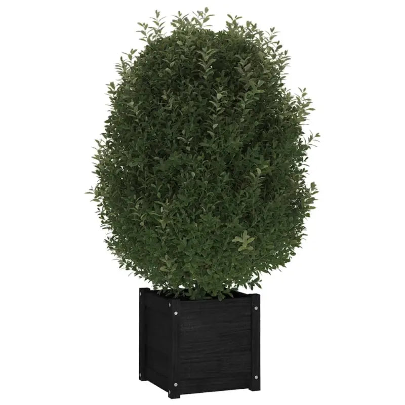 Massief Grenenhout Bloempotten en plantenbakken voor tuin en balkon - Bloempotten & plantenbakken