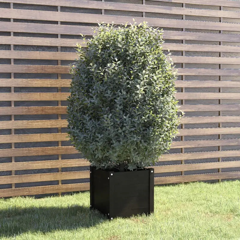 Massief Grenenhout Bloempotten en plantenbakken voor tuin en balkon - Zwart / 1 - Bloempotten & plantenbakken