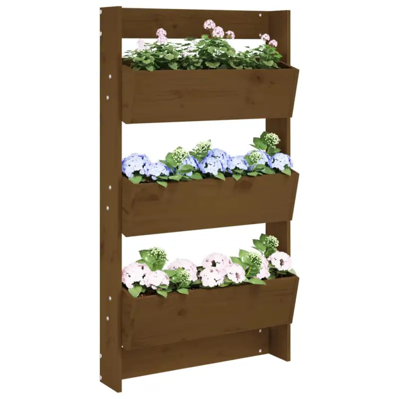 Massief grenenhout verticale muurplantbak voor tuin en balkon - Honingbruin grenenhout / 1 - Bloempotten & plantenbakken