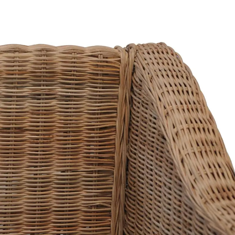 Natuurlijk rattan bank met levering bevat voor stijl en functionaliteit - Banken