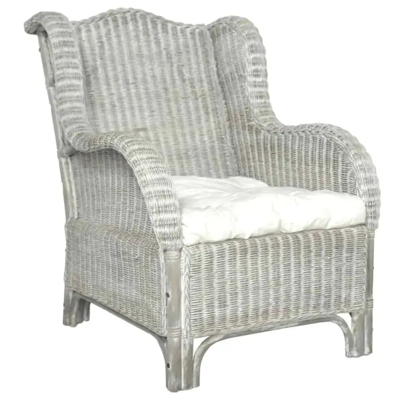 Natuurlijk Rattan Banken - Elegante en eenvoudige fauteuil voor elke ruimte - Grijs / 1-zits - Banken