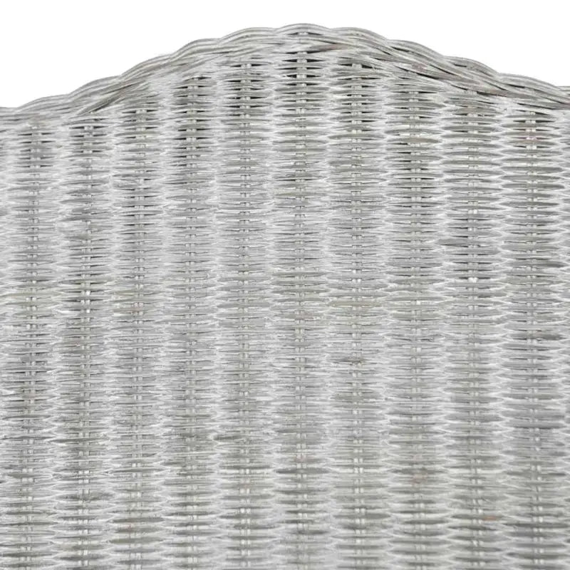 Natuurlijk Rattan Banken - Elegante en eenvoudige fauteuil voor elke ruimte - Banken