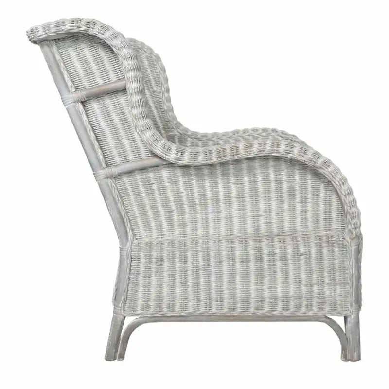 Natuurlijk Rattan Banken - Elegante en eenvoudige fauteuil voor elke ruimte - Banken