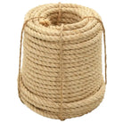 Natuurlijk sisal touw voor huis landbouw en transportgebruik - 1 / 100 m / 20 mm - Touw
