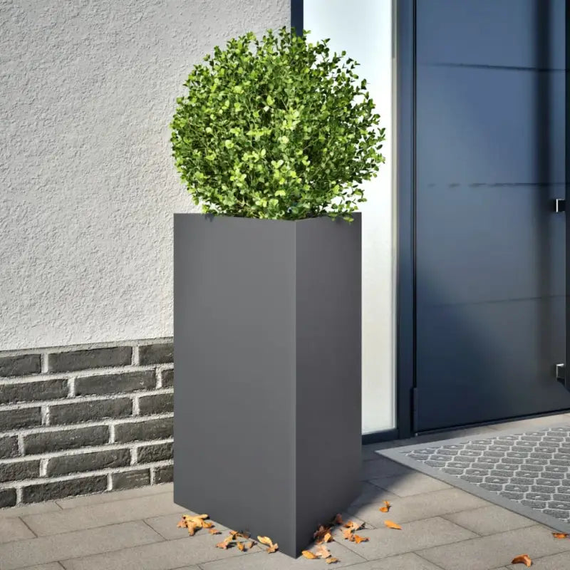 Plantenbak voor je favoriete planten en bloemen voor tuin of balkon - Staal/Antracietkleurig / 50 x 43 x 75 cm / 1