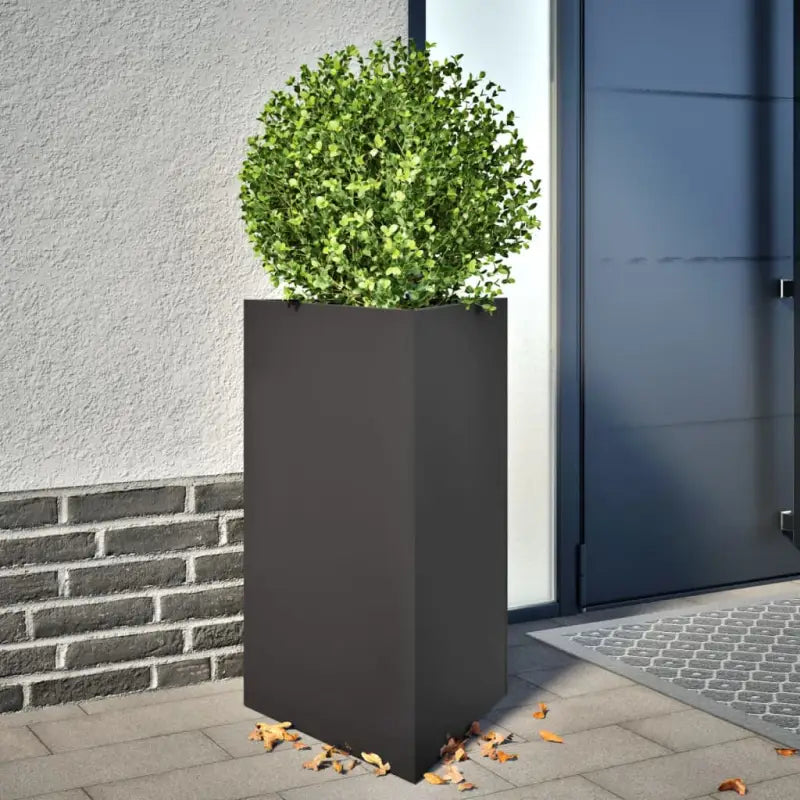 Plantenbak voor je favoriete planten en bloemen voor tuin of balkon - Staal/Zwart / 50 x 43 x 75 cm / 2 - Bloempotten &