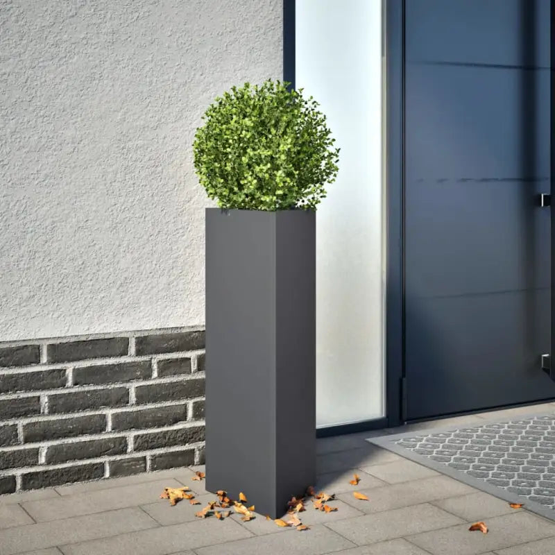 Plantenbak voor je favoriete planten en bloemen voor tuin of balkon - Staal/Antracietkleurig / 30 x 26 x 75 cm / 2