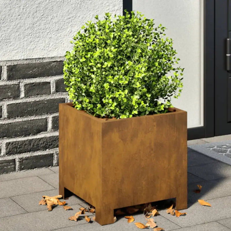 Plantenbakken voor je favoriete planten en bloemen voor tuin en balkon - Cortenstaal/Bruin / 30 x 30 x 30 cm / 2