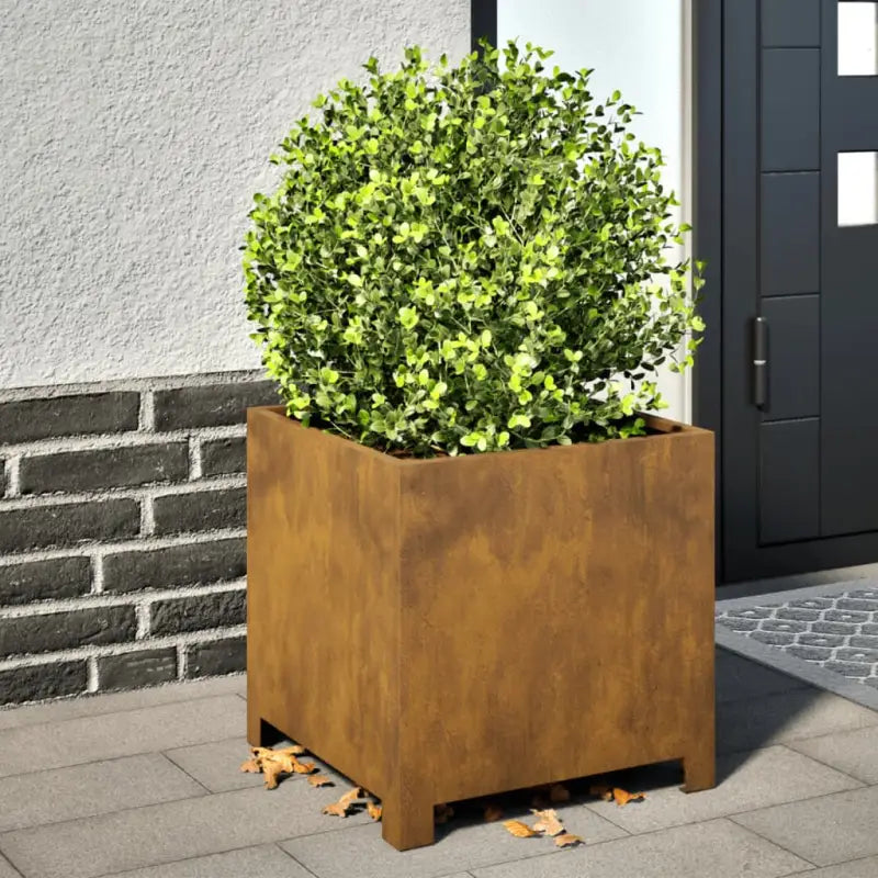 Plantenbakken voor je favoriete planten en bloemen voor tuin en balkon - Cortenstaal/Bruin / 40 x 40 x 40 cm / 1