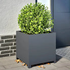 Plantenbakken voor je favoriete planten en bloemen voor tuin en balkon - Staal/Antracietkleurig / 50 x 50 x 50 cm / 1