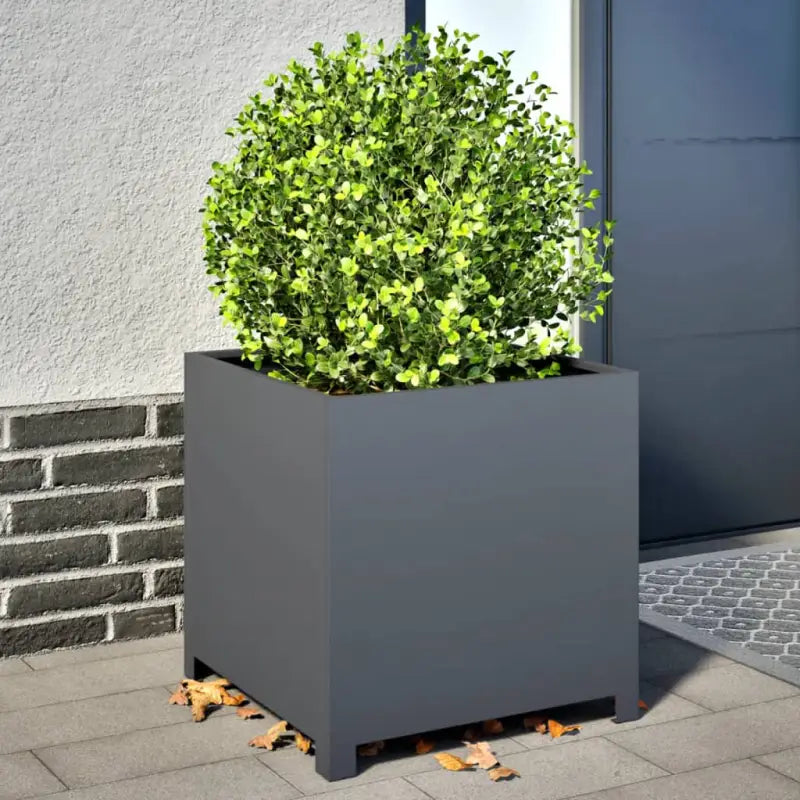 Plantenbakken voor je favoriete planten en bloemen voor tuin en balkon - Staal/Antracietkleurig / 50 x 50 x 50 cm / 1
