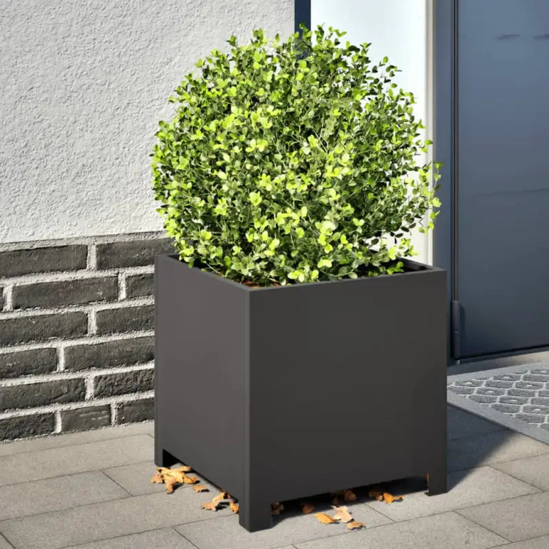 Plantenbakken voor je favoriete planten en bloemen voor tuin en balkon - Staal/Zwart / 40 x 40 x 40 cm / 1