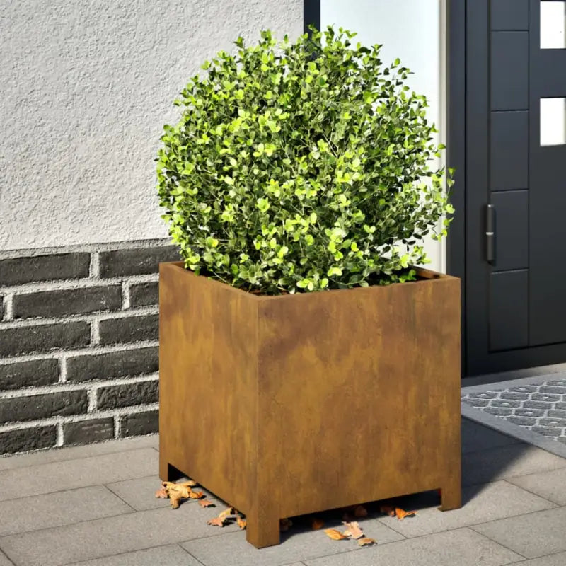 Plantenbakken voor je favoriete planten en bloemen voor tuin en balkon - Cortenstaal/Bruin / 40 x 40 x 40 cm / 2